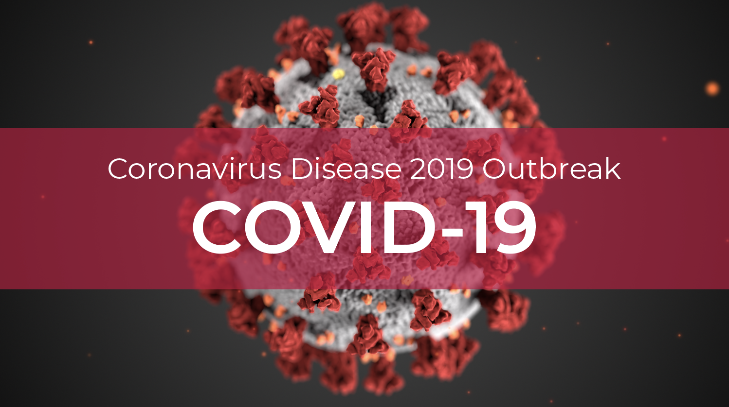 write a report on covid 19 pandemic