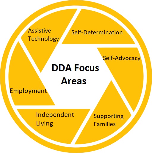 6 focus areas DDA.jpg