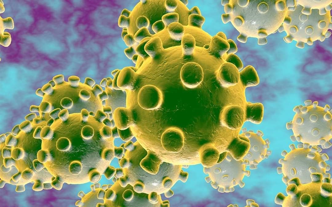 Novel Coronavirus