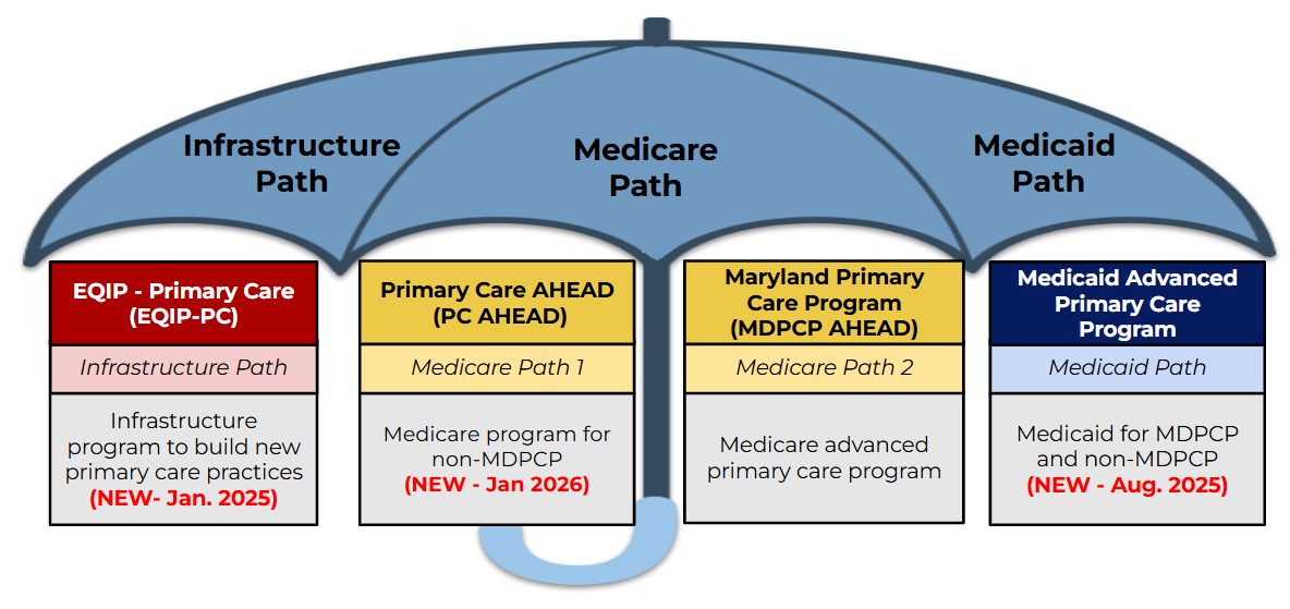 AHEAD Model Pathways