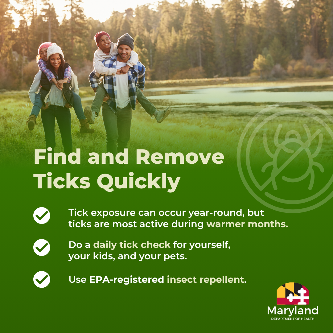 Sample graphic. Ticks are most active during warmer months. Do daily tick checks. Use EPA-registered insect repellent.