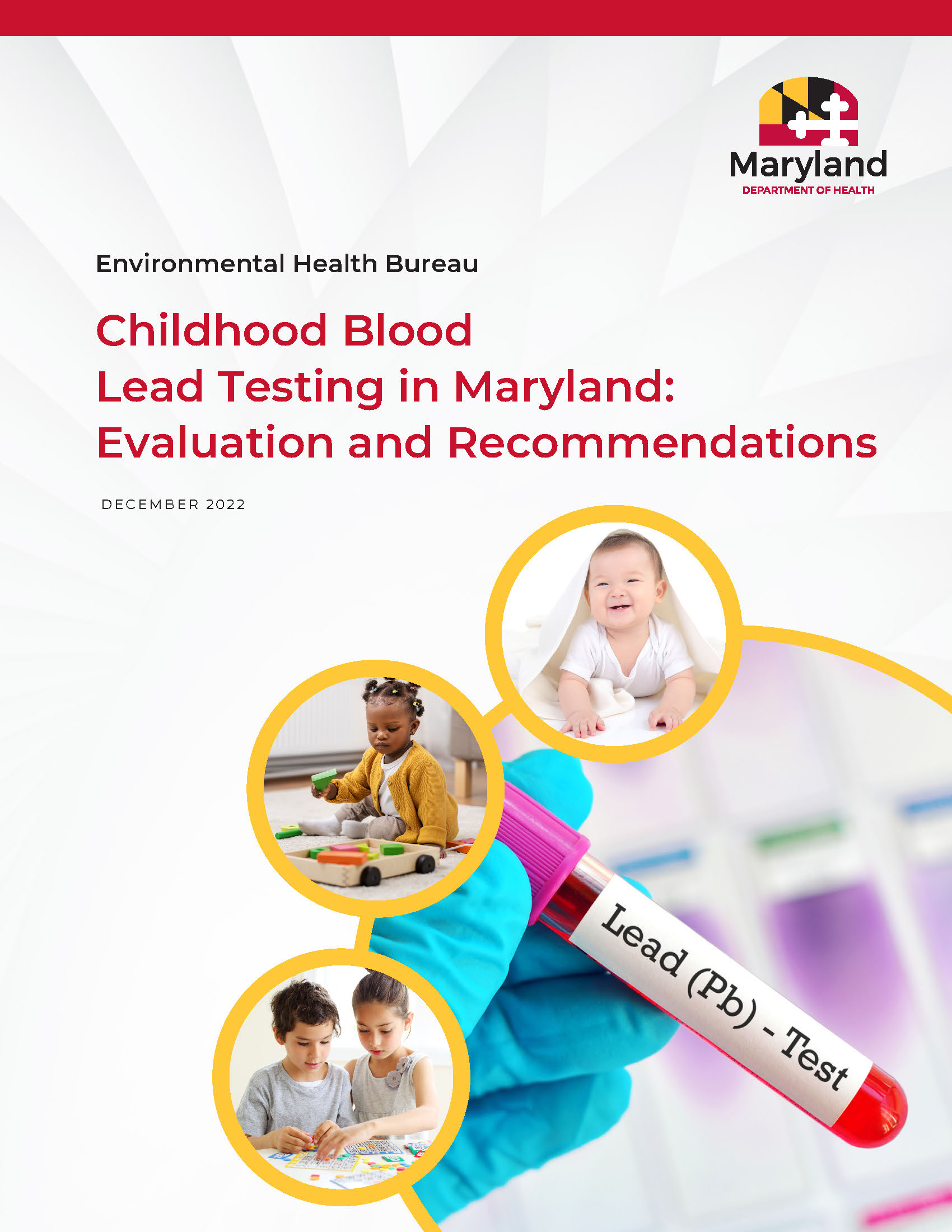 Cover page to blood lead testing evaluation and recommendations report