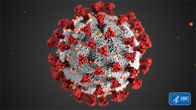 Picture of COVID-19 virus molecule