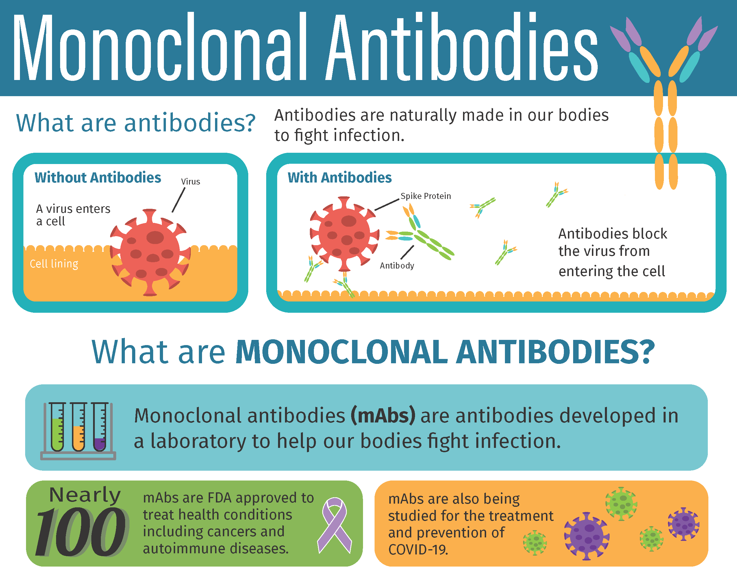 Pages Monoclonal Antibody Treatment For Covid 19