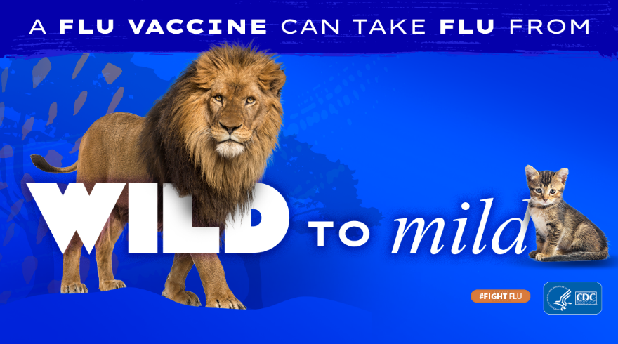 Lion Flu Vaccine.png