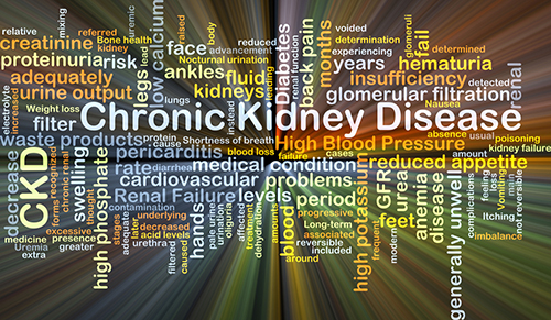 Commission On Kidney Disease