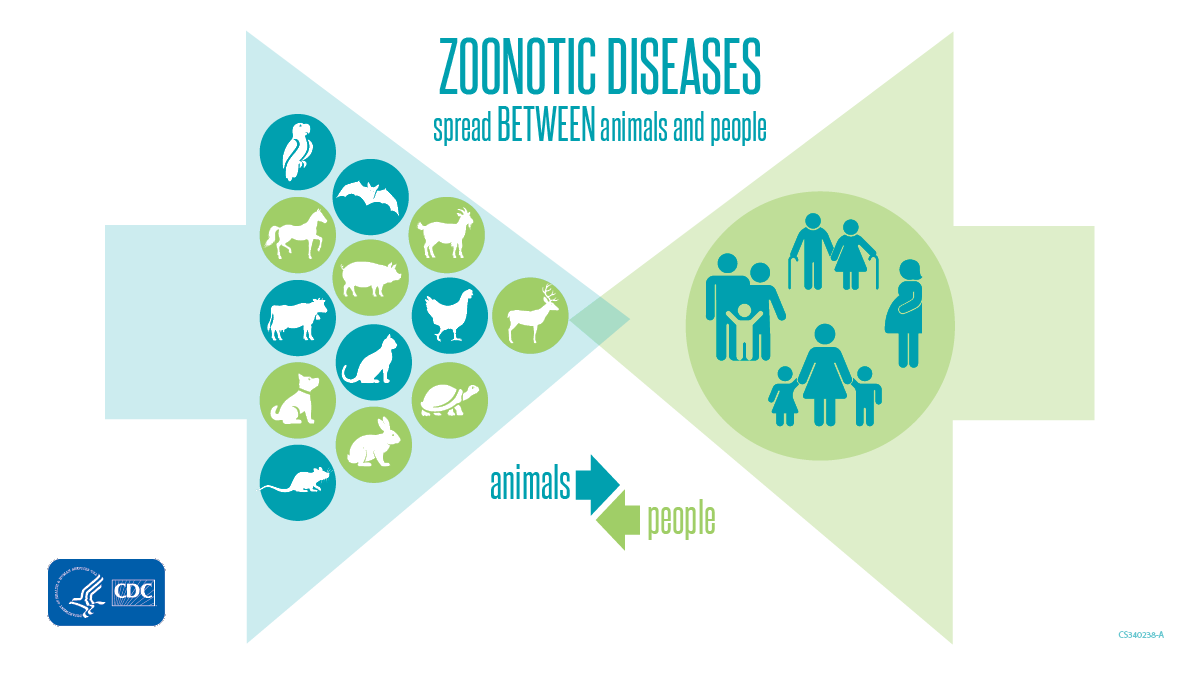 Zoonotic Disease